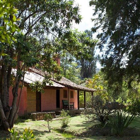 Hotel Raquira Silvestre Lodge Tinjacá Dış mekan fotoğraf