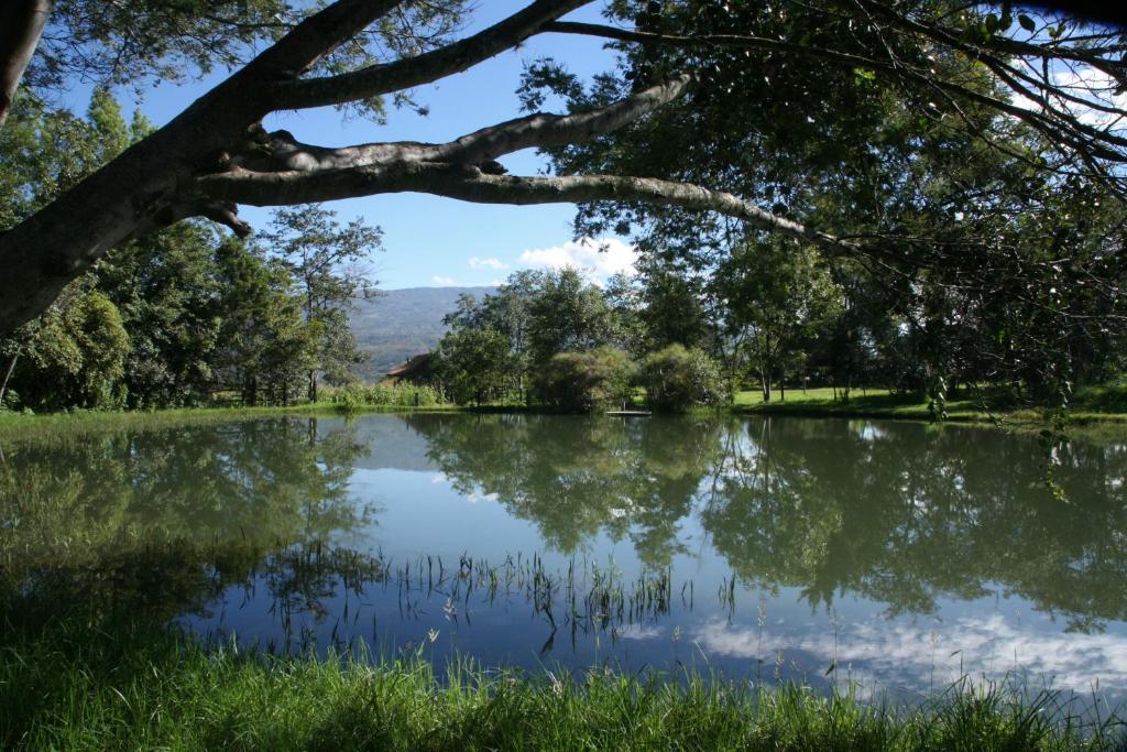 Hotel Raquira Silvestre Lodge Tinjacá Dış mekan fotoğraf