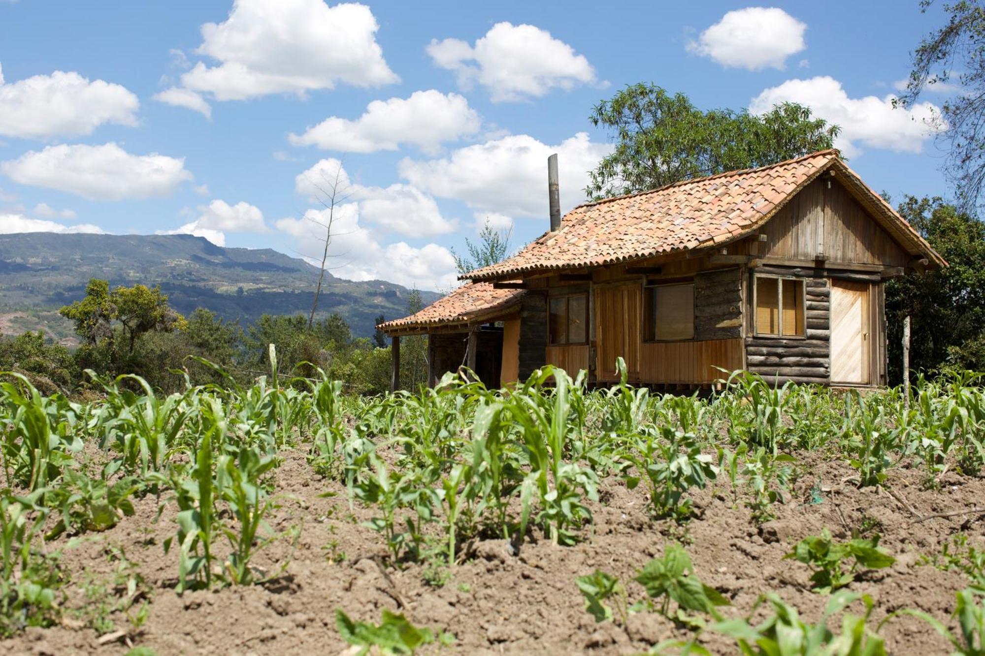 Hotel Raquira Silvestre Lodge Tinjacá Oda fotoğraf